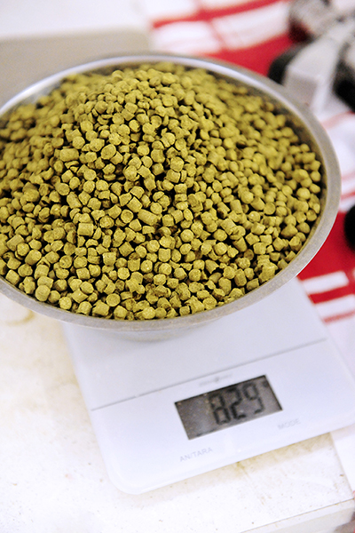 hopfen2