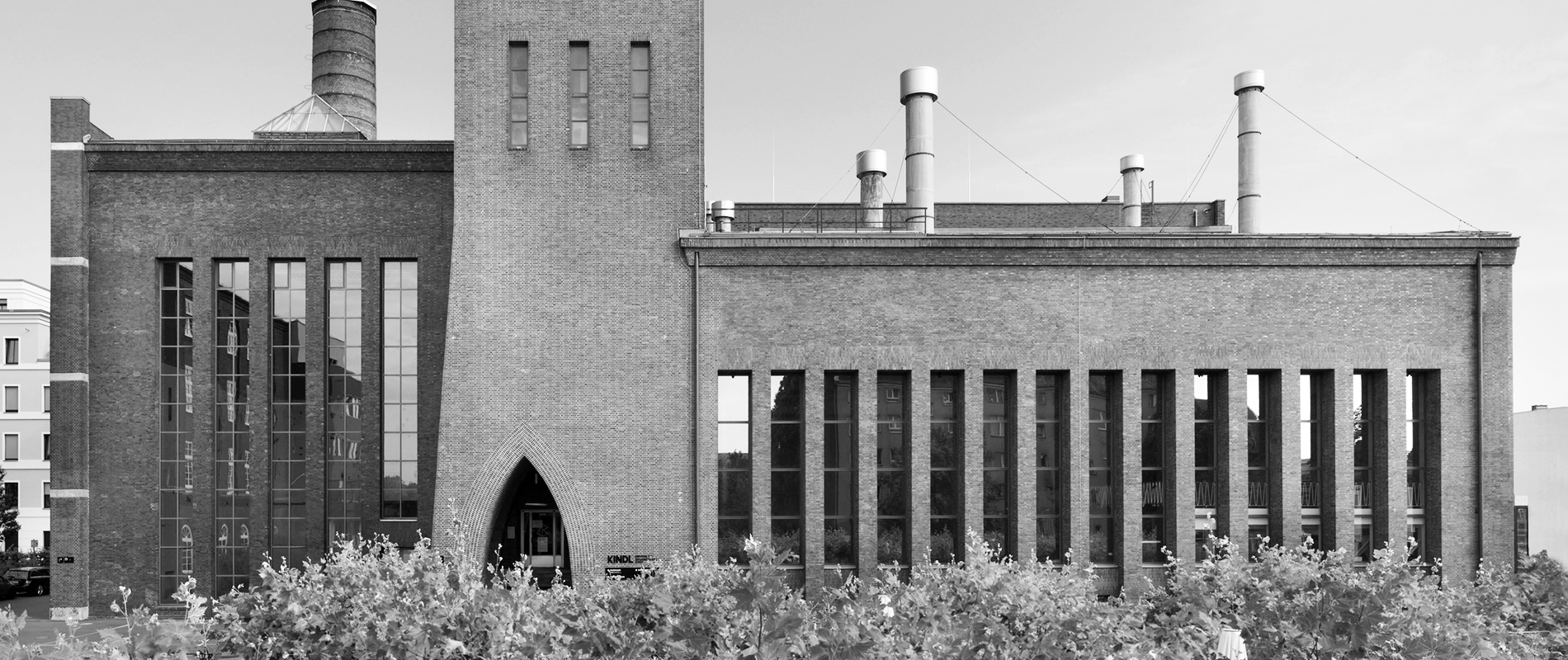 unsere herkunft ziehe header